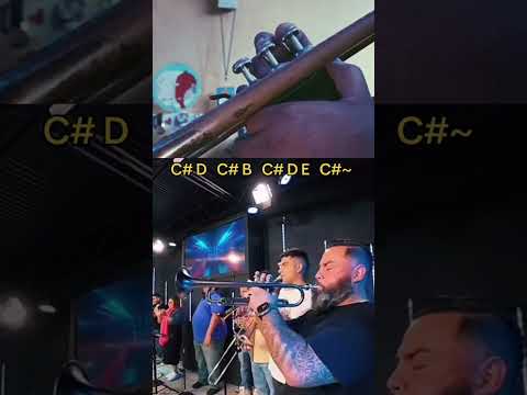 Sorprende Al Rey - Ebenezer