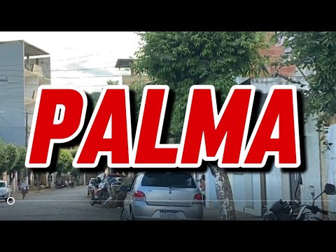 Cidade de Palmas Minas Gerais ￼