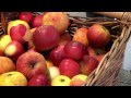 FoodTV