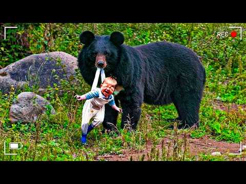 Animal Heroes Who Saved Human Lives