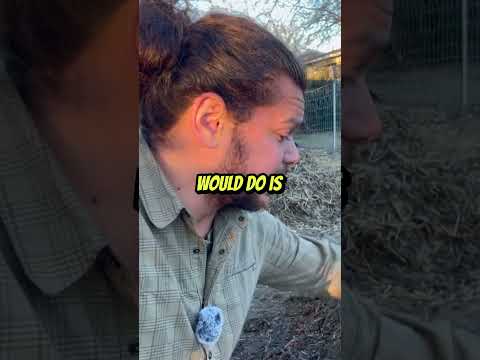 Soil Compaction Challenge in Permaculture #shorts