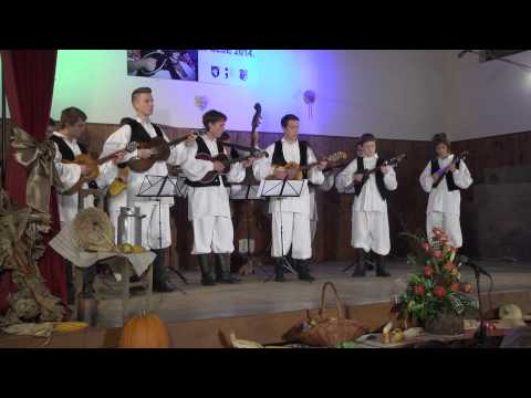 Glazbeni festival tamburaških orkestara i sastava Turopolje 2014