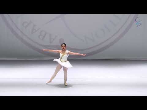 AIDC 2023 Talisman Variation