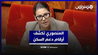 شباب٫نساء ومقيمون بالخارج.. المنصوري تكشف أرقام دعم السكن وأثره على قطاع البناء thumbnail