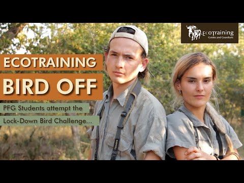 EcoTraining Bird Off | with Zach & Rushada