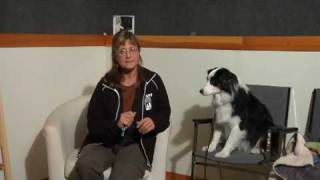 Dog Care & Training : How to Use a Dog Whistle to Stop Barking