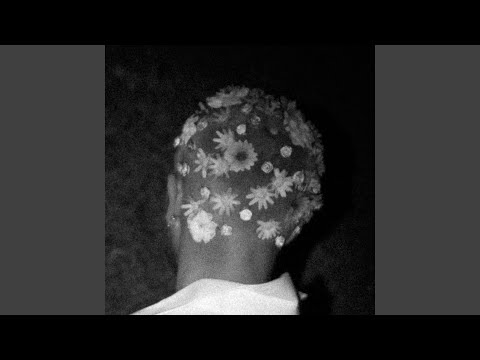 canimakeittotheborderlineofmymind?