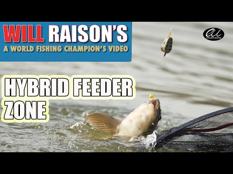 Fishing The Hybrid Feeder Is So Effective | Will Raison Fishing