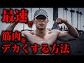 【やらなきゃ損する】自重で最速で筋肉をデカく強くする方法