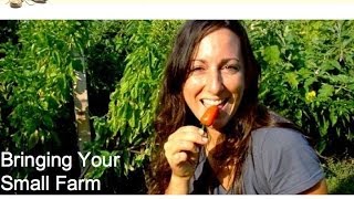 Bring Your Small Farm Vision to Life: What you need in your plans