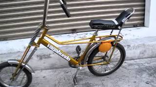 BICICLETA VAGABUNDO  ORIGINAL