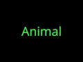 Animal Kidz Bop Kidz