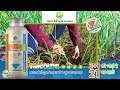 Best Agrolife Fungicide Tricolor to Protect your crop from Early blight & Late blight  #farmer