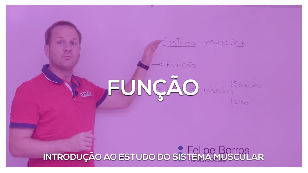 Função muscular