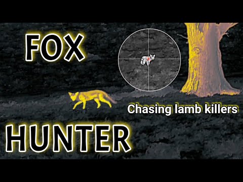 Hunting the Lamb Killers || Farmer asks for help