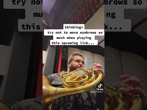 French Horn player thoughts ...