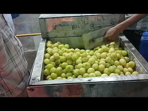 Amla Processing Machine
