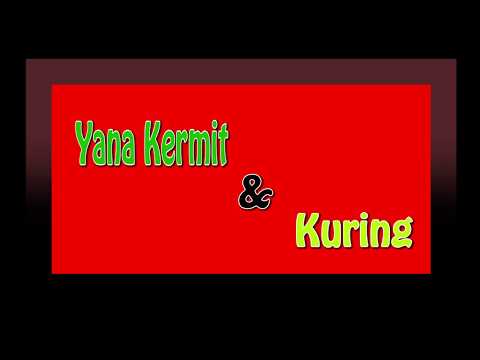 Yana Kermit Dan Aku