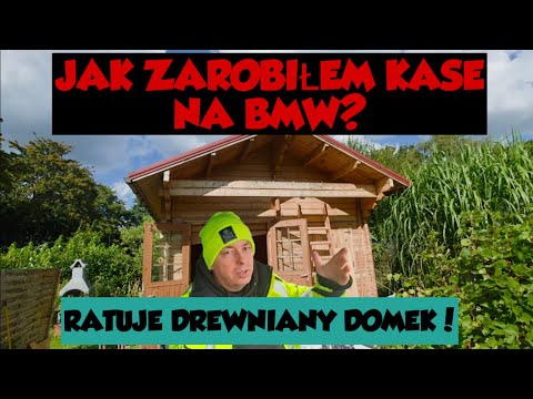 Pests almost ate the wooden house. Will I be able to save it?