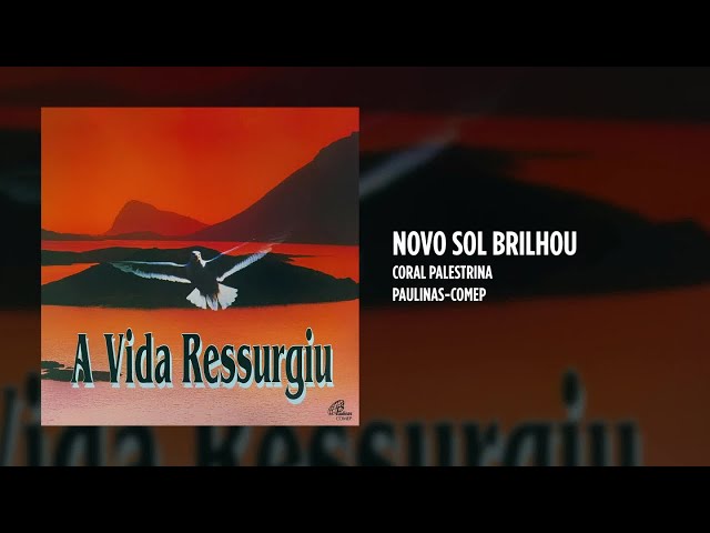 Preview do vídeo