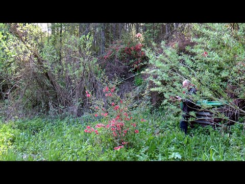 Karczma w Piekle  -  legenda - Karwodrza  8.05.2022 r.