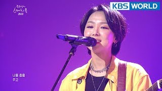 Kim Bokyung - Night Cherry Blossom I 김보경 - 밤벚꽃 [Yu Huiyeol’s Sketchbook/2018.04.28]