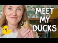 How Do Ducklings Hatch From Eggs Maddie Moate