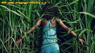1000 முறை பார்த்தாலும் சலிக்காத படம் | Tamil hollywood times | movie story & review in tamil