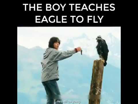 The boy teaches eagle to fly...
