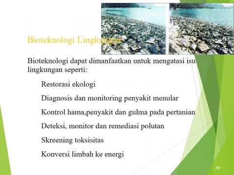 , title : 'Presentasi tentang Bioteknologi Pangan'