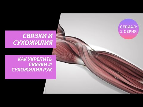 Еда полезная для хрящей и суставов. Упражнения для укрепления связок и сухожилий. Продукты полезные для суставов и хрящей. Упражнения для укрепления сухожилий. Мышцы связки сухожилия.