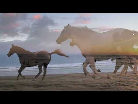 LOOM presenta EDÉN ROCK   2026 URUGUAY