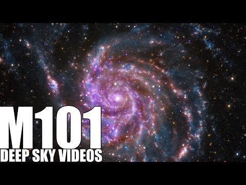 M101 - Supernova and Pinwheel Galaxy - Deep Sky Videos