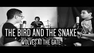 The Bird and the Snake (Wolves at the Gate acoustic cover)