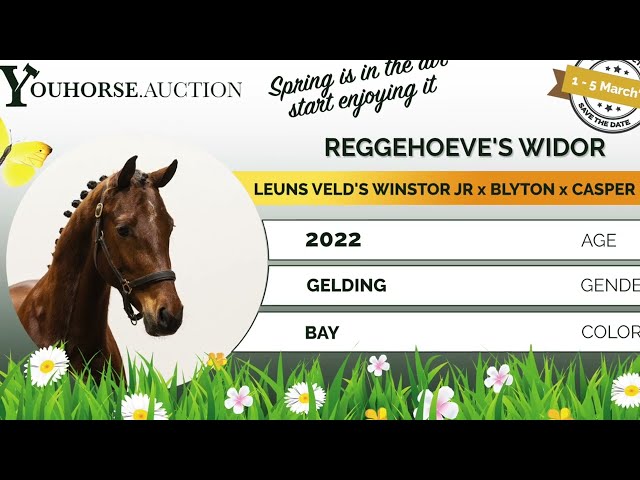 Reggehoeve's Widor in the field
