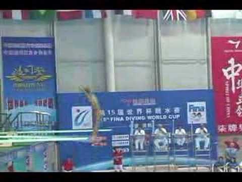 2006 world cup chong he 307c 3m