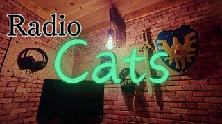 【Radio Cats】 次回工作のことでも