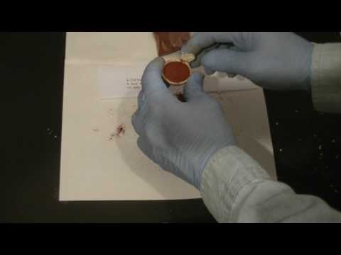 download lagu mp3 mp4 How To Make Pepper Balls, download lagu How To Make Pepper Balls gratis, unduh video klip How To Make Pepper Balls