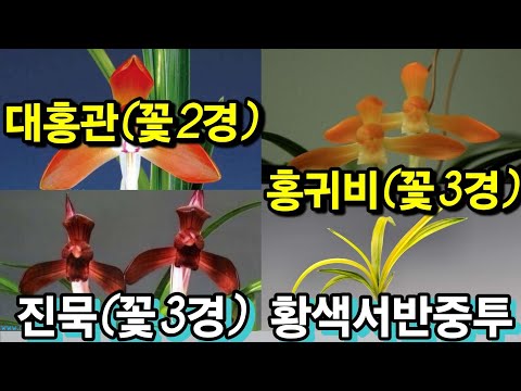유튜브 썸네일