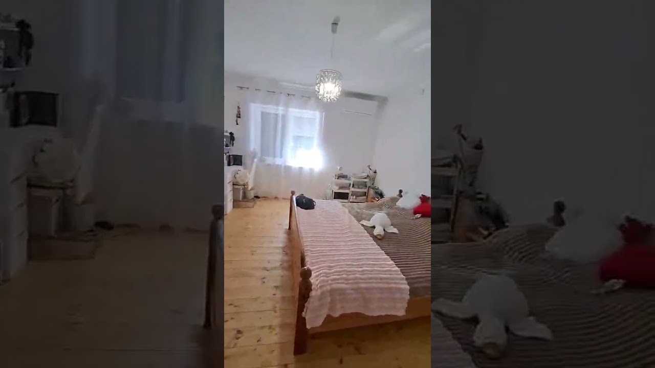 Eladó családi ház, Albertirsa 3 szoba 81 m² 69.9 M Ft