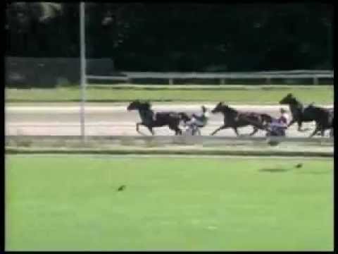 Grote Prijs der Lage Landen 2012 -Icare de Bois