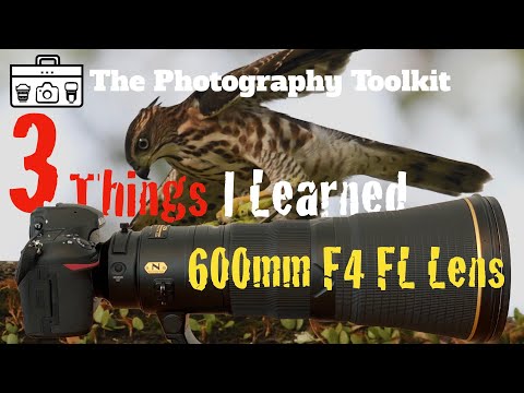 3 Things I Learned About my 600mm F4 FL Lens