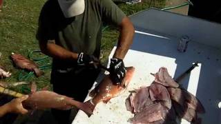 preview picture of video 'After the Florida Deep Sea Fishing Trip - Cleaning the fish'