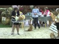 Female Puppy Best Puppy At The Russian WCP Club National Specialty 02 05 16