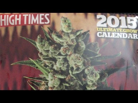 DonTuran - Propa Reason - September 2015