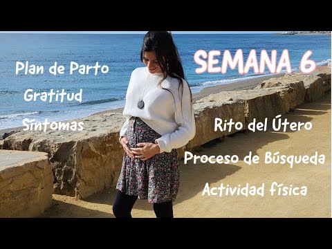Semana 6 de Embarazo - Síntomas, Ejercicio, Plan de Parto, Proceso de búsqueda Embarazo Consciente