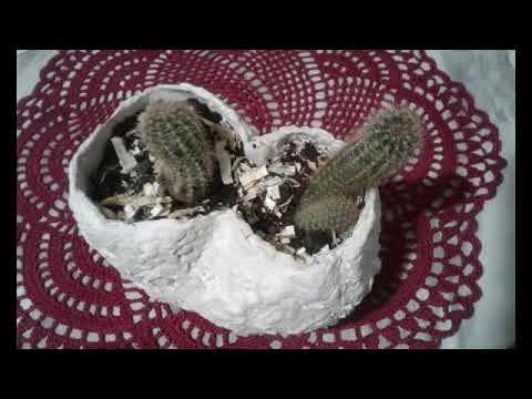 Семейка Кактус. Как мы делали горшочки из папье-маше.