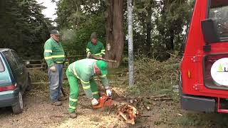 vento-forte-danni-e-disagi-ad-ariano