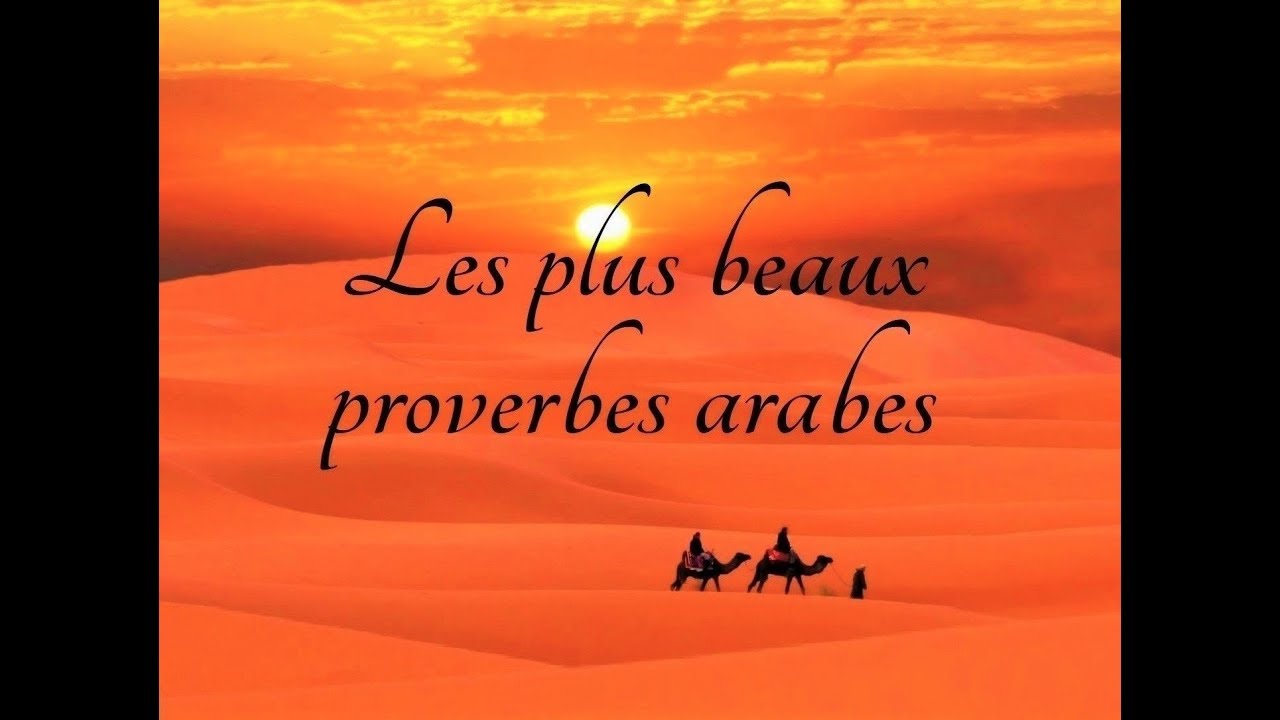 Proverbes Francais Traduits En Arabe Pdf