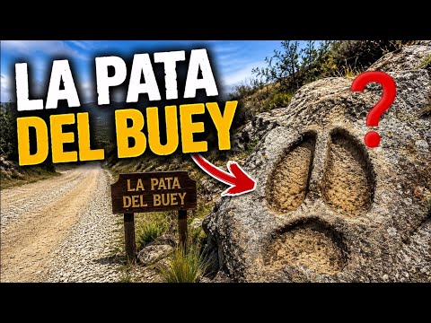 Donde queda este lugar? 🤔❓